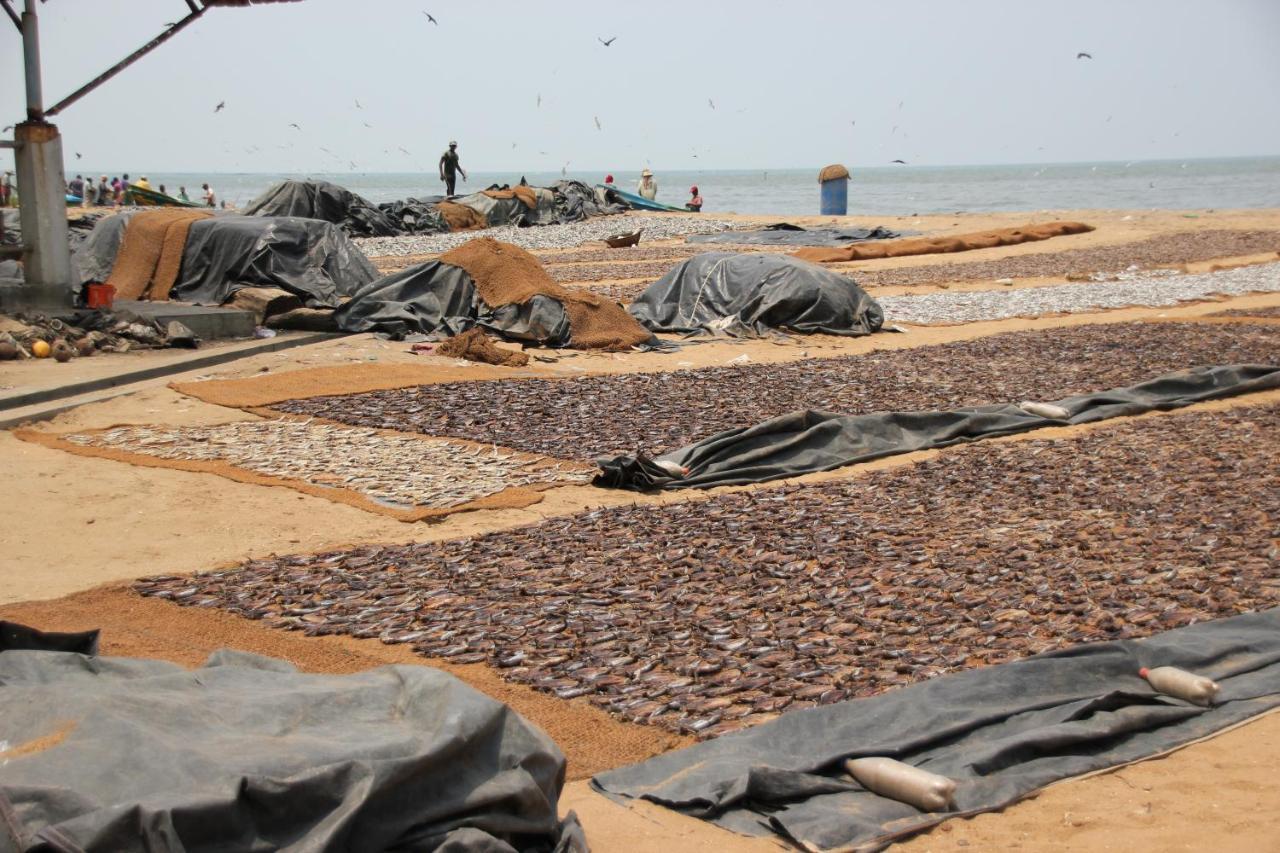 Hotel 198 Negombo Luaran gambar